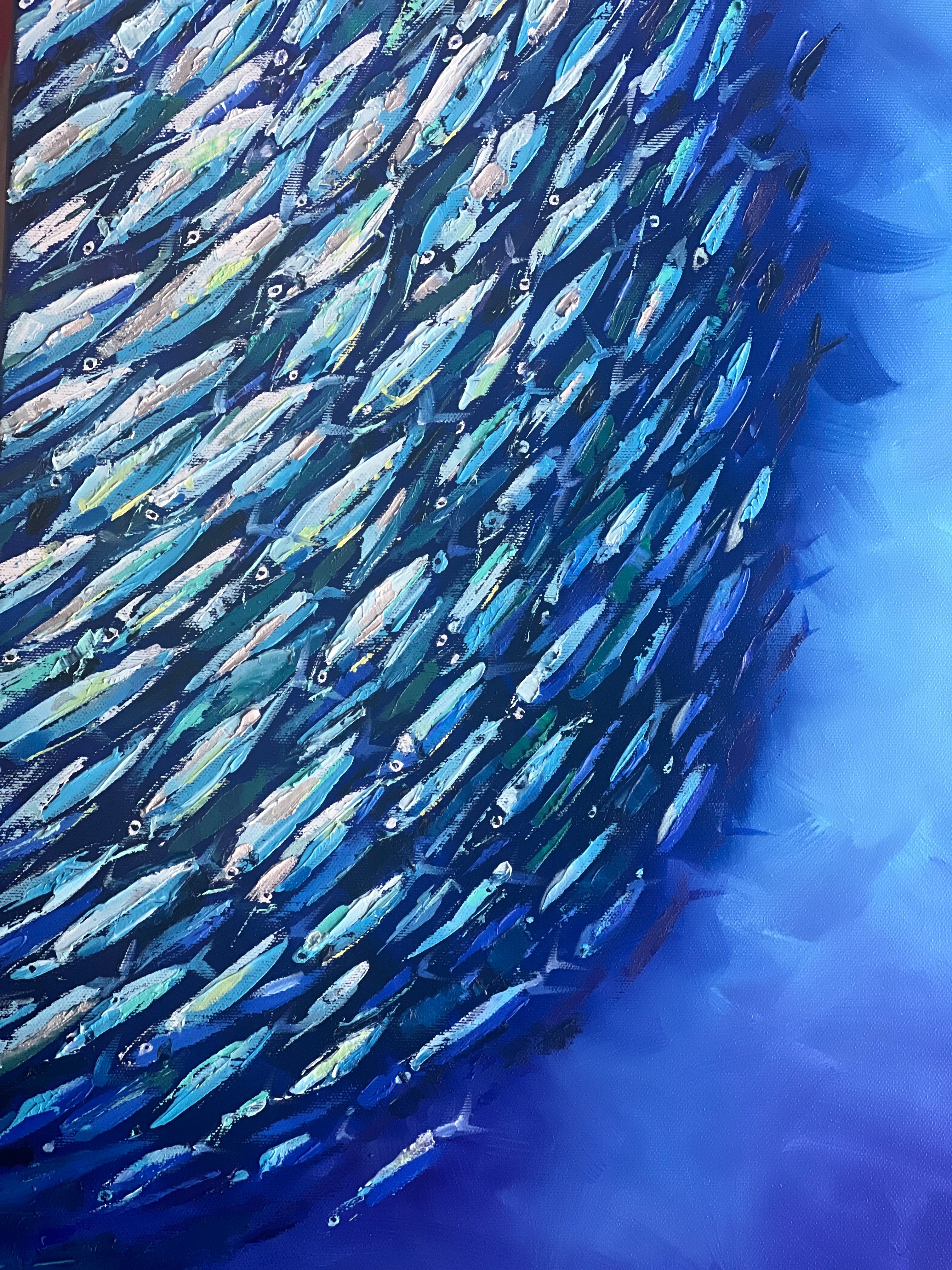 School of fish