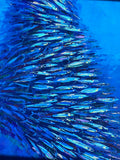 School of fish in defense