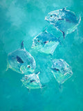 Fish school