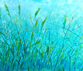 The grass grows wild and free
