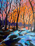 Colours of the forest